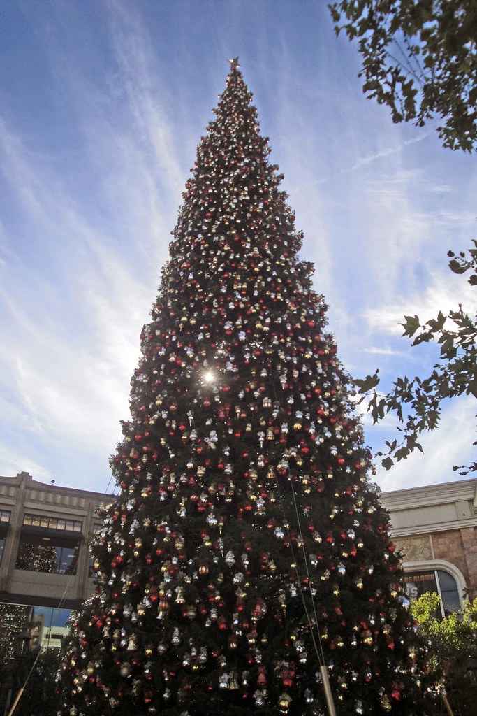 Christmas tree, Glendale, 2014.11.27 (01) Vahe Martirosyan Flickr