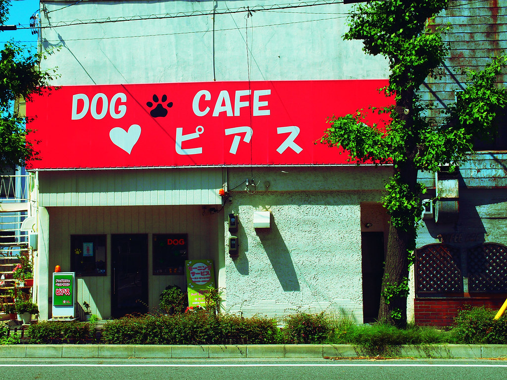 Dog Café Posted via email from Nagoyish Ray Larabie Flickr