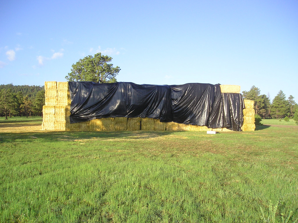Staged Straw Bales Straw in one of the staging areas. Gila National