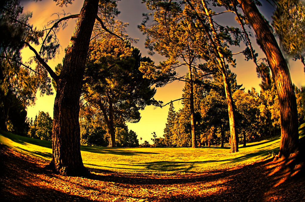 Landscape as seen through fisheye lens Taken late in the e… Flickr