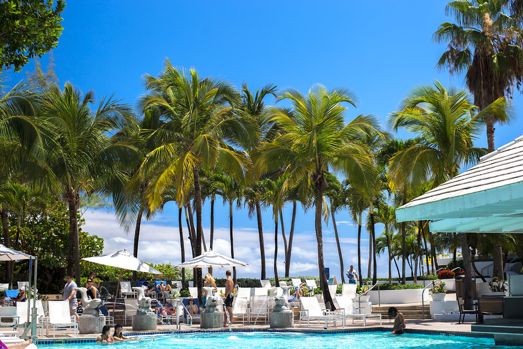 prconrad4708 Views from the Conrad Hotel in Puerto Rico Randy