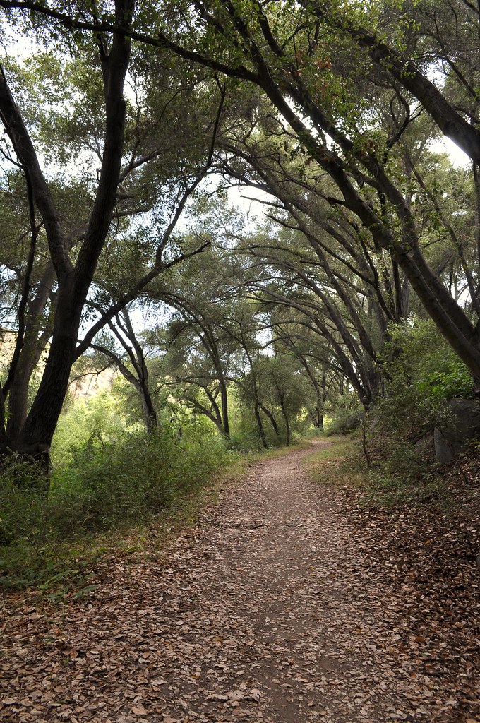 Santa Margarita River Trail/ Fallbrook, CA LilyRomano Flickr