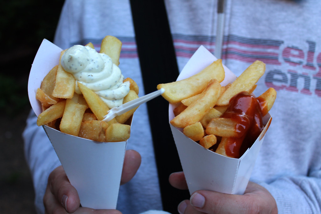 153/366 01/06/12 Belgian fries, mine with tartar sauce