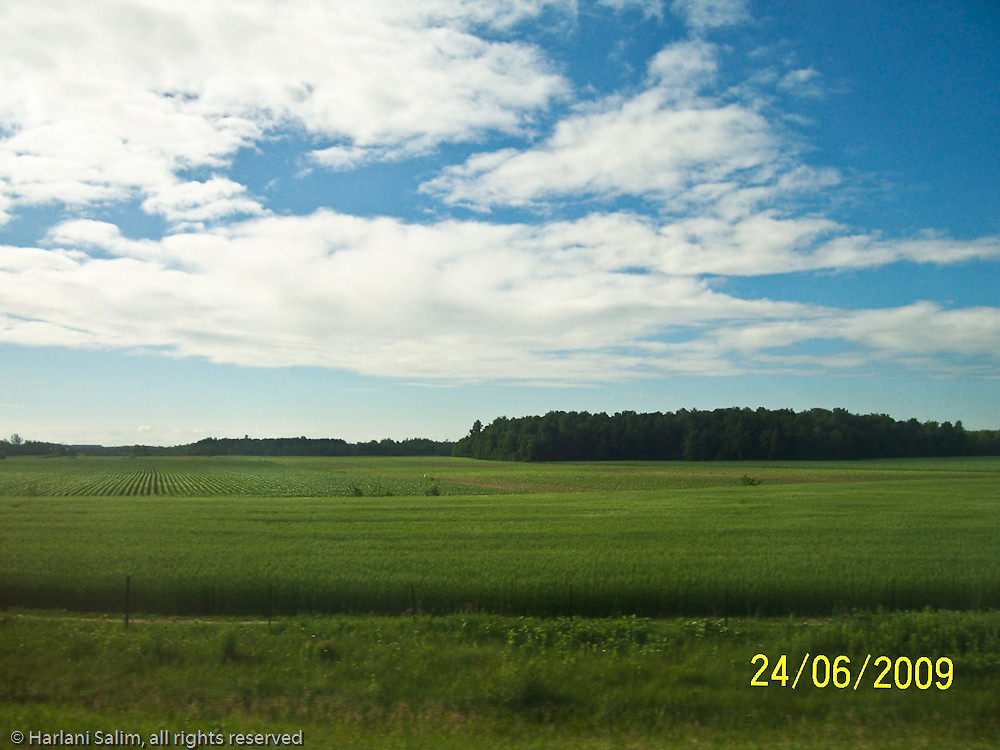 Elevation of SainteEulalie, Quebec, QC G0Z 1E0, Canada Topographic