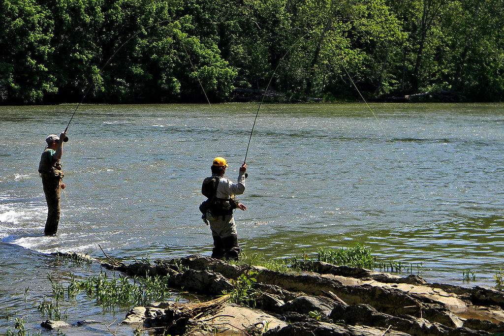 120520PHWFFLIL015 The Project Healing Waters Fly Fishin… Flickr