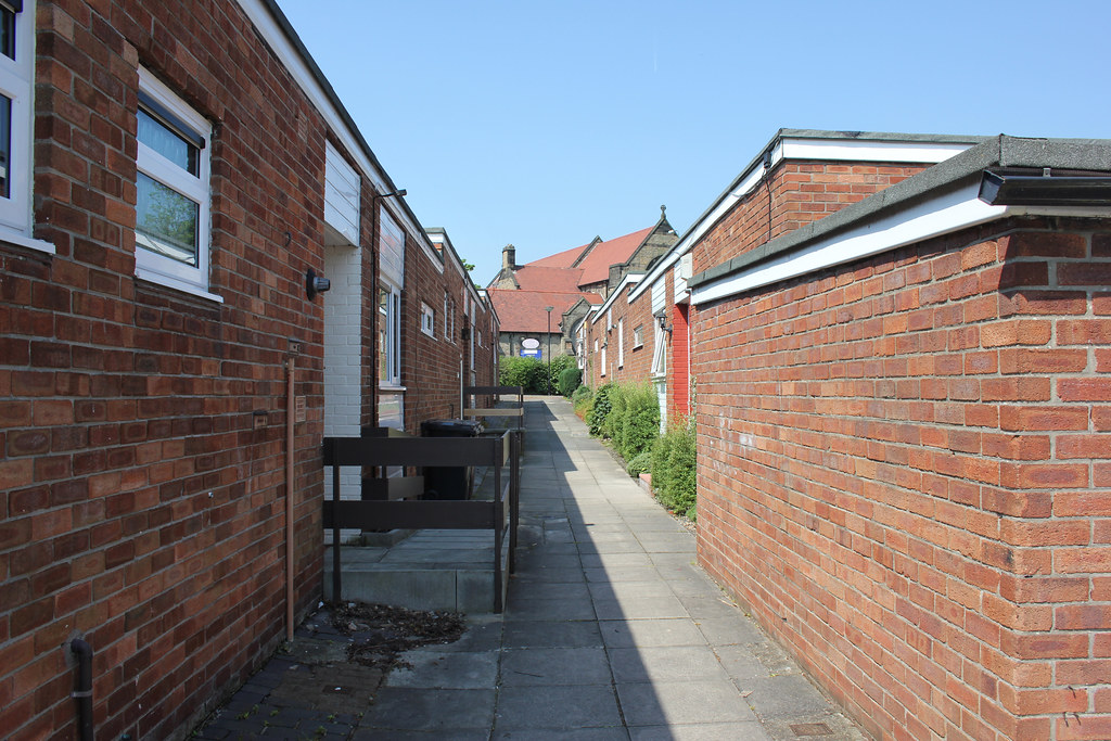 Skelmersdale. Willow hey. boneytongue Flickr