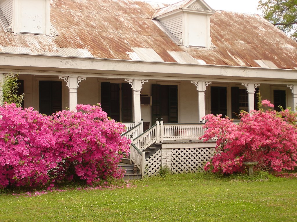 trip up River Rd fron N.O. to Houmas House Flickr