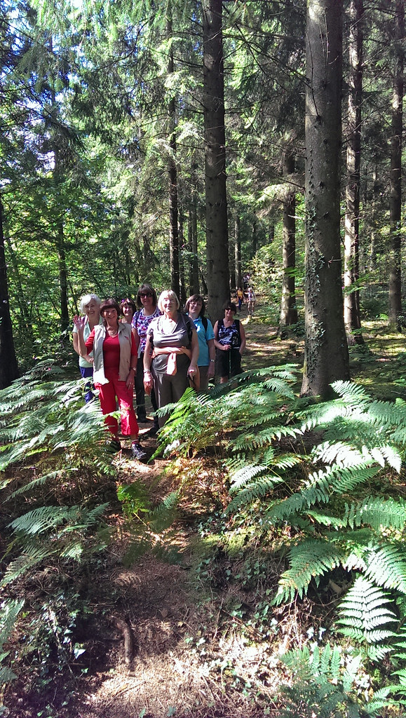 Warren Wernddu walk Sept 2016 Caerphilly Ramblers Flickr