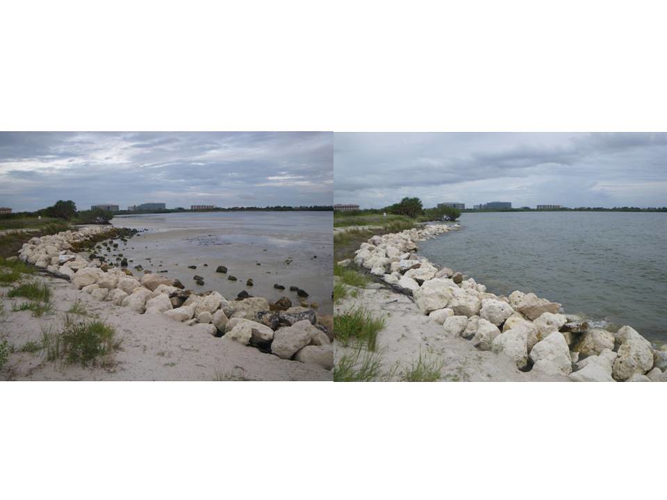 Cypress Point Park, Tampa Photo by Linzy Wilson Low June 1… Flickr