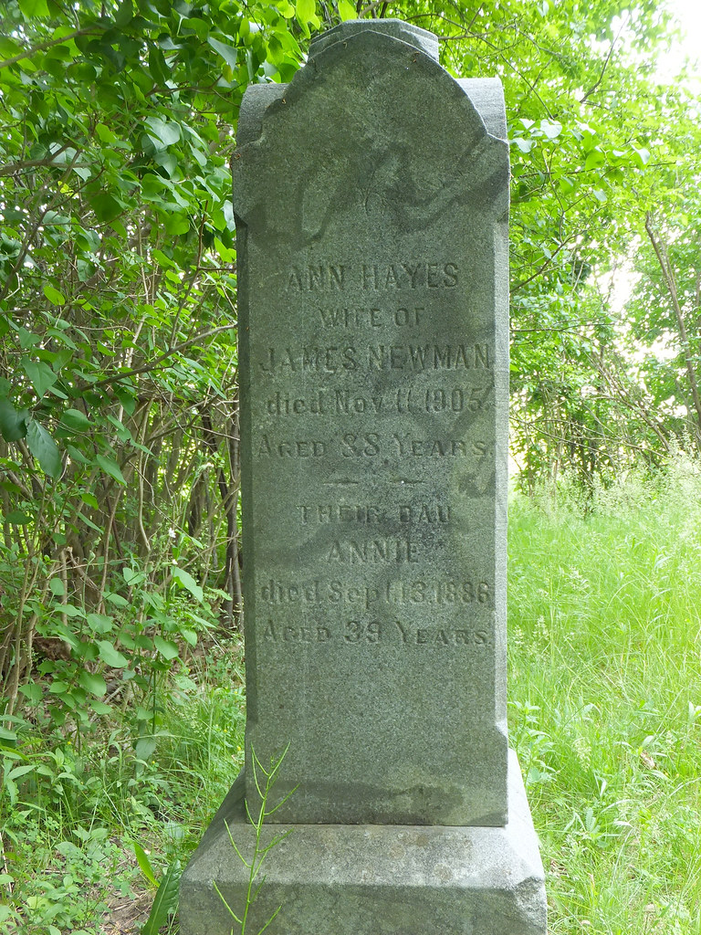 Hopkins Cemetery (32) Joe Flickr