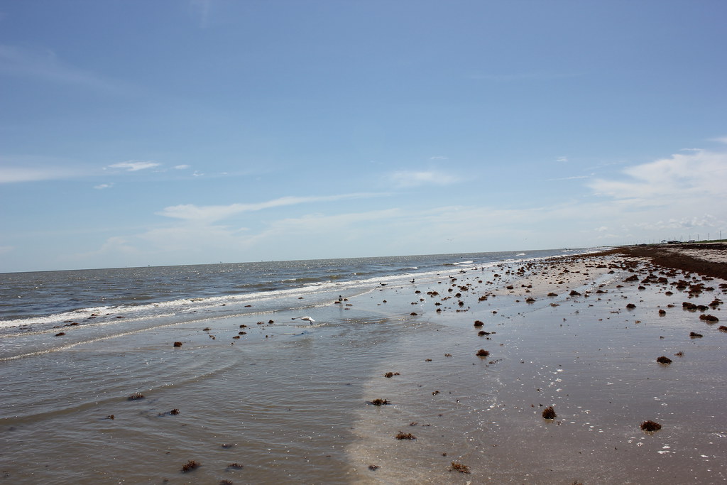 Holly Beach, Louisiana Ginger Flickr