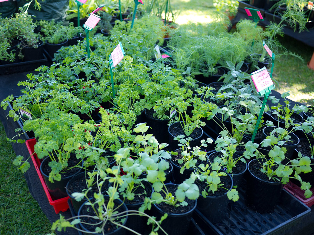 Herbs The Farmers Market on Manning, also known as the Clo… Flickr