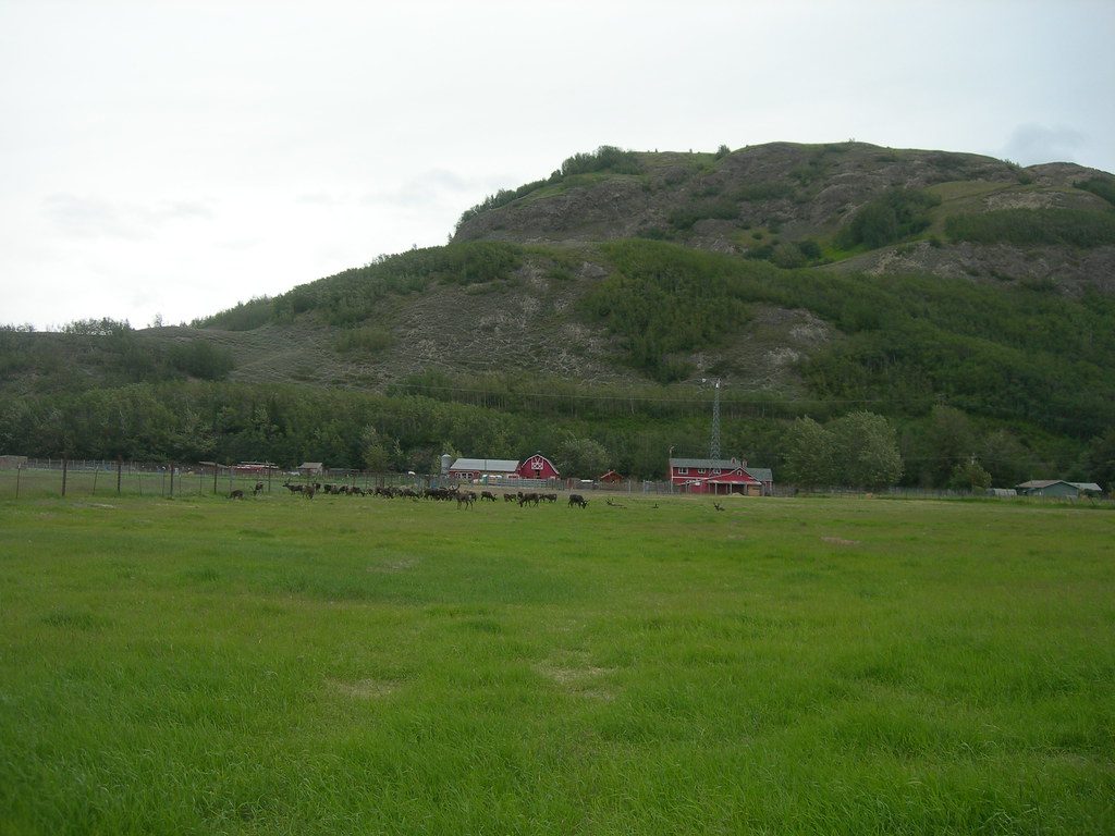 Bodenburg Butte Palmer, Alaska Jimmy Emerson, DVM Flickr