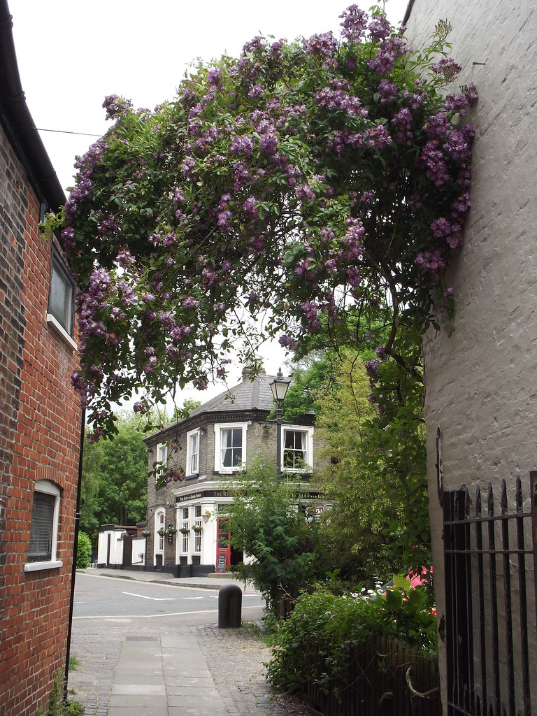 The Red Lion, Norwich The riverside Red Lion o… Flickr