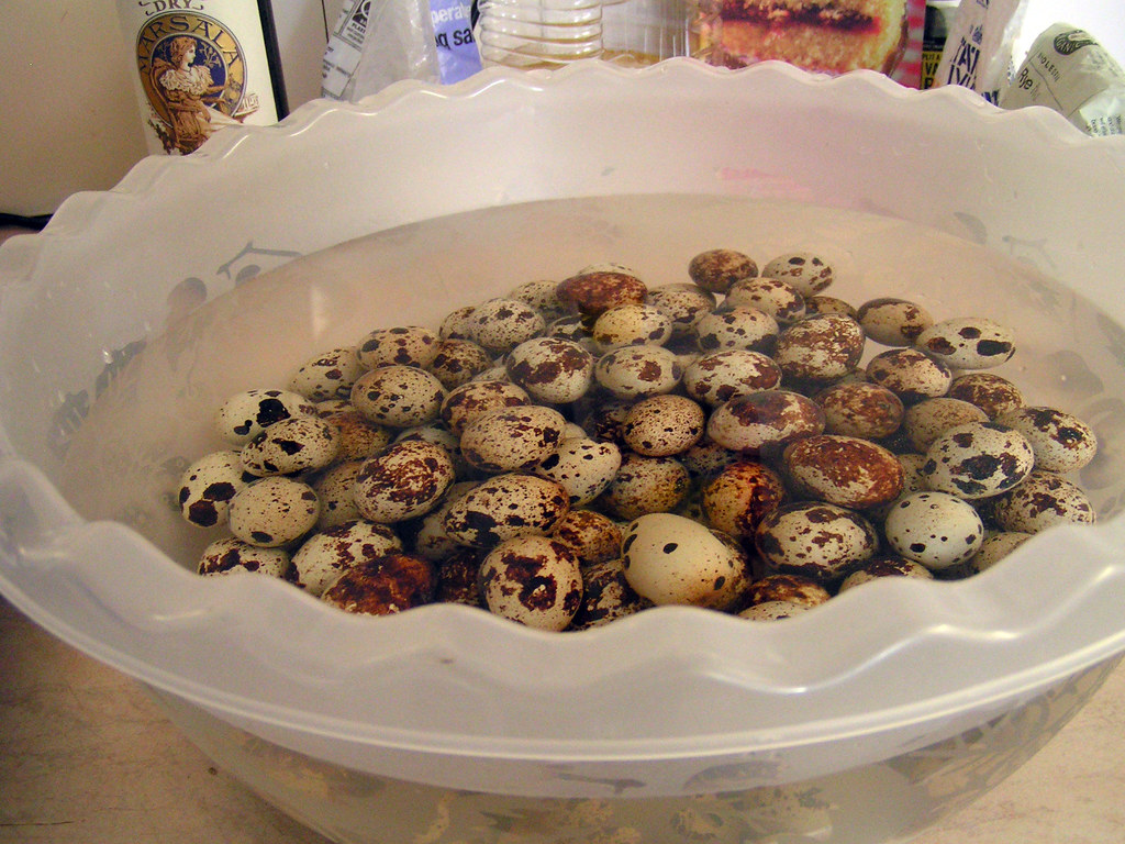 Quail's eggs Blanch & Shock Ross Angus Flickr