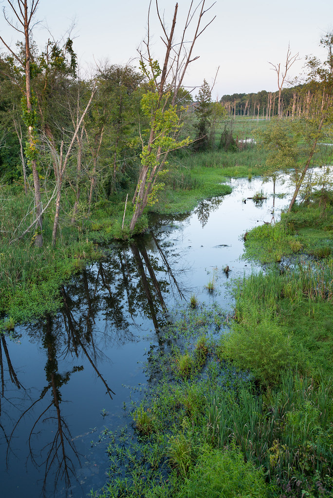 White Oak Creek Jordan Lake, NC John Buie Flickr