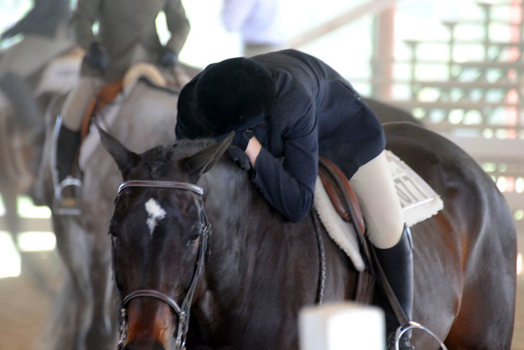 NWVQHA Show Rest at the Northern West Virginia Quarter Hor… Flickr