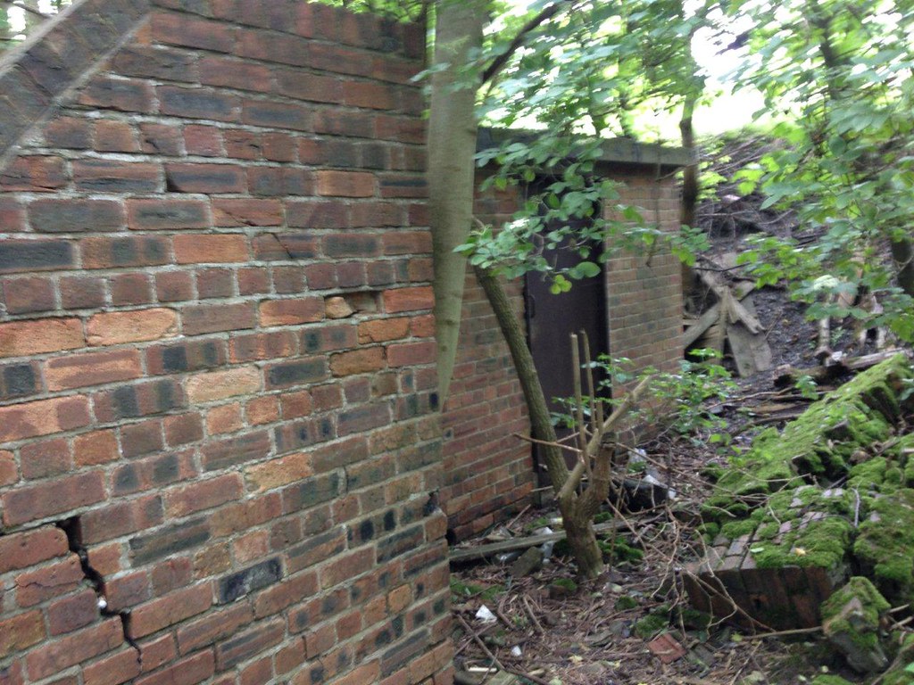 Seaton Delaval, Avenue Pit These ruins are situated mid wa… Flickr