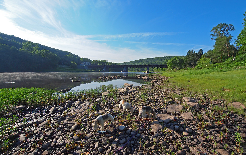 Roebling Inn riverfront Saturday morning Steve Guttman NYC Flickr