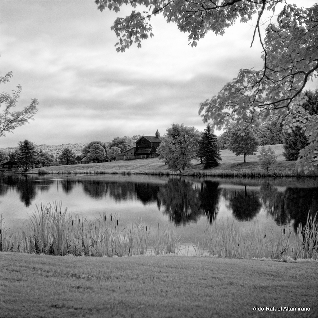 Elevation of Arnolds Rd, Equinunk, PA, USA Topographic Map Altitude Map
