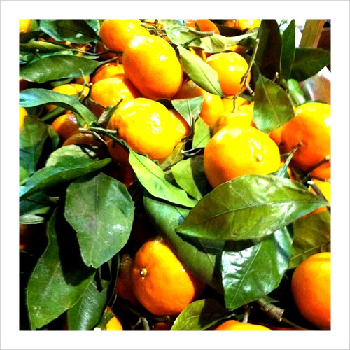 Clementines Part of the sidewalk display at a market in Co… Flickr