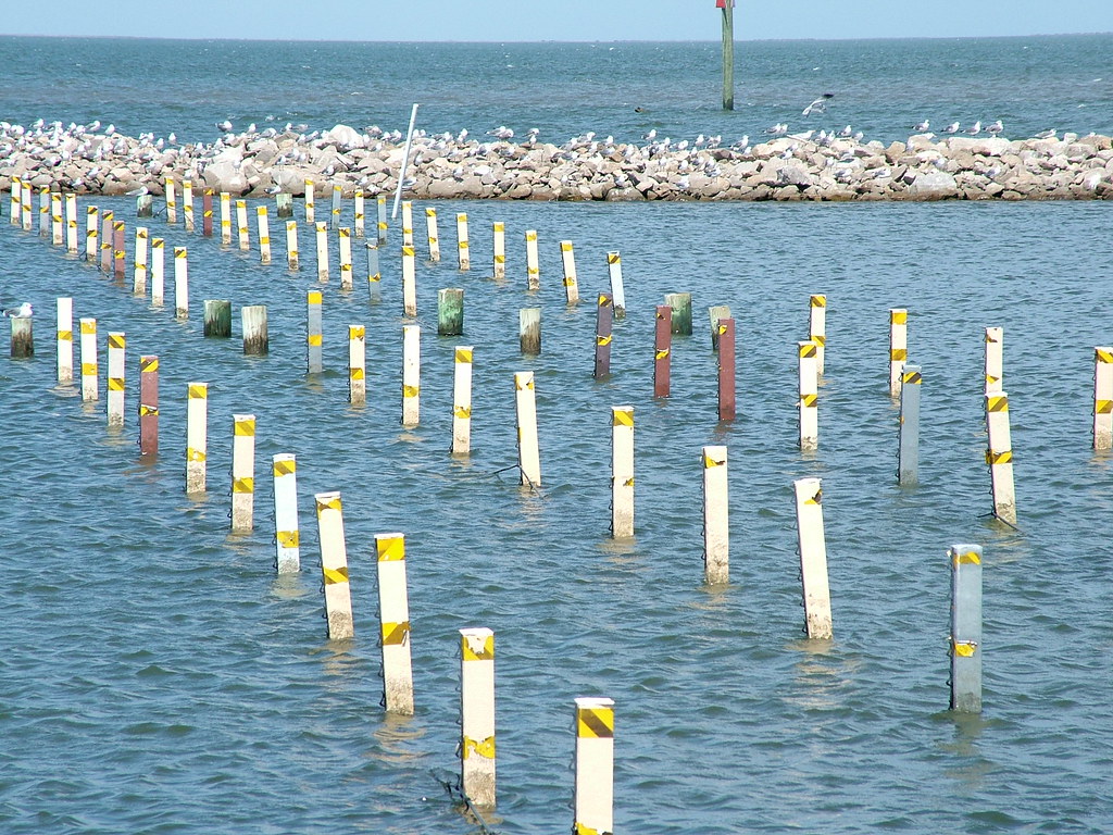 Oyster Hatchery Field, Grand Isle Day June 2012 212 Flickr