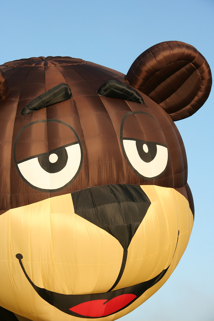 2967 Jackson, MI / Hot Air Balloon Jubilee / 2009 Kathy Flickr