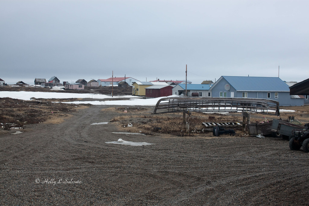 Gambell Alaska Holly Salvato Flickr