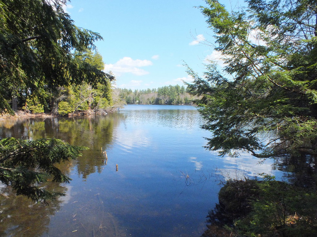 Pocasset Lake 15 A mid spring day on Pocasset Lake in Wayn… Ron Gay