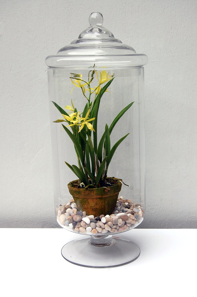 Tall Glass Jar Although we do have a lot of vintage furnit… Flickr