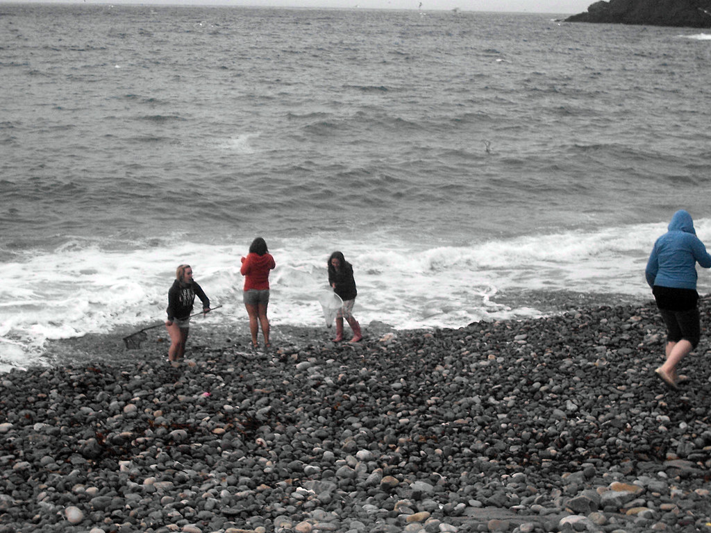 Job's Cove 4 Job's Cove is a small fishing village on the … Flickr