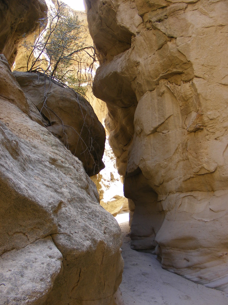 Blanco canyon narrows A beautiful slot canyon located in a… Flickr