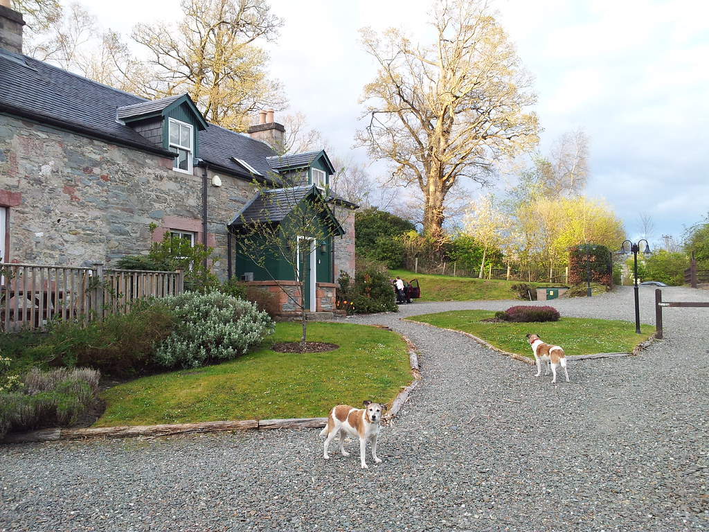 20120415_191908 The dog friendly cottage in Luss standel178 Flickr