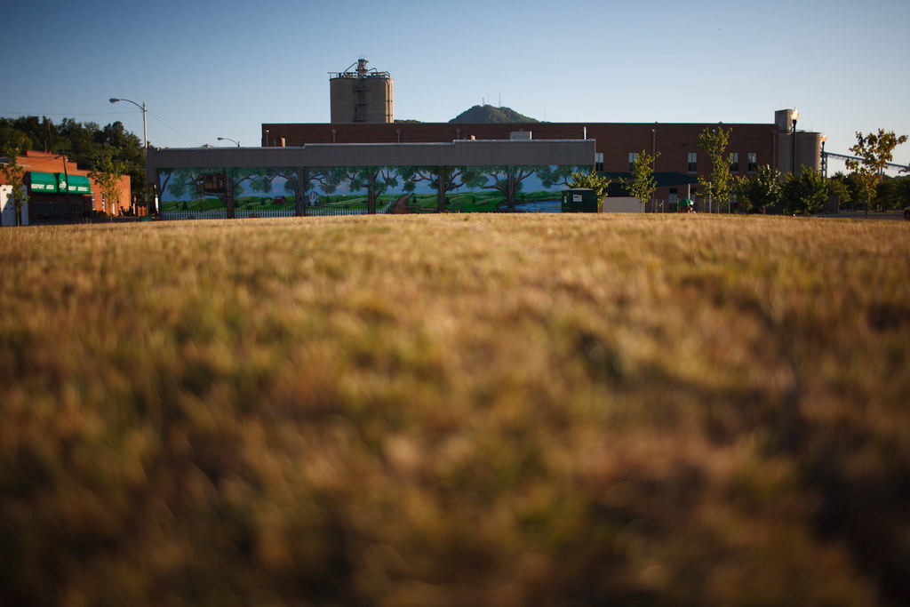 Domtar Paper Mill/Bays Mountain/Kingsport Area Transit Flickr