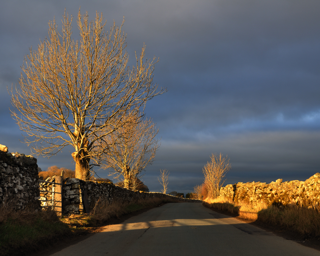 The road to Helton Driving home, I had to stop and run bac… Flickr