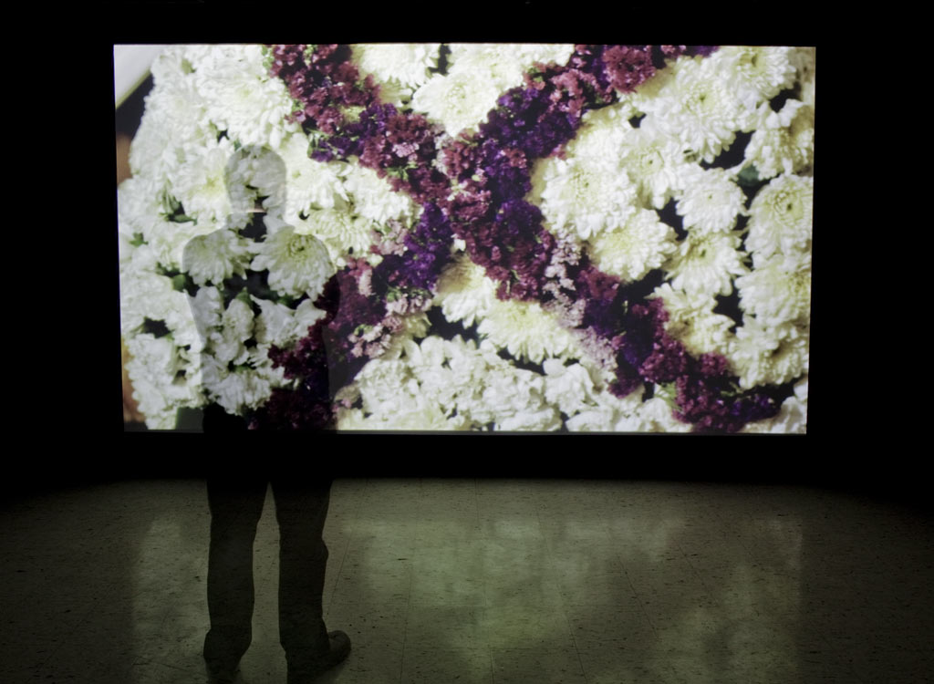 The Jettisoned University Galleries Illinois State