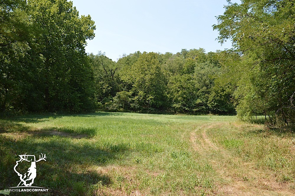 Illinois Land for Sale 40 Acres in Fulton County Flickr