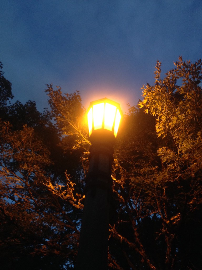 Untitled calvin Laughlin Flickr