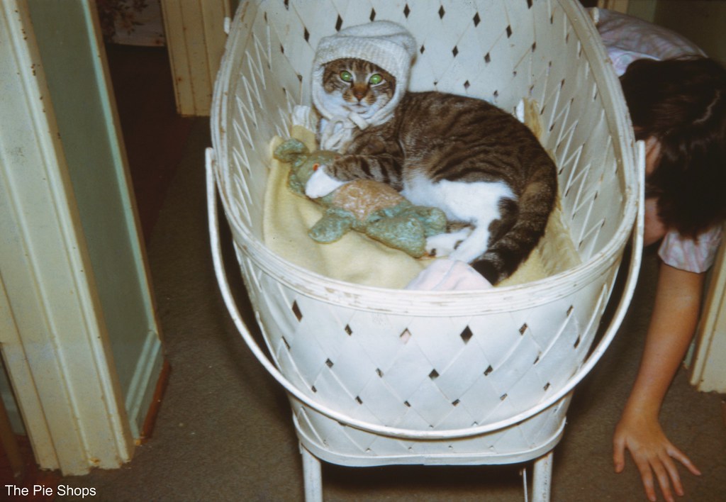 Cat's Cradle Sometime in 1965 Slide Type Sears (Plastic M