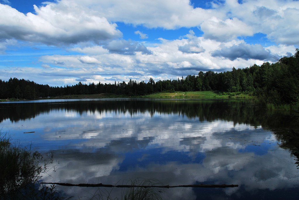 Alaska Anchorage Taku Lake Park MarculescuEugenIancuD5200Alaska Flickr