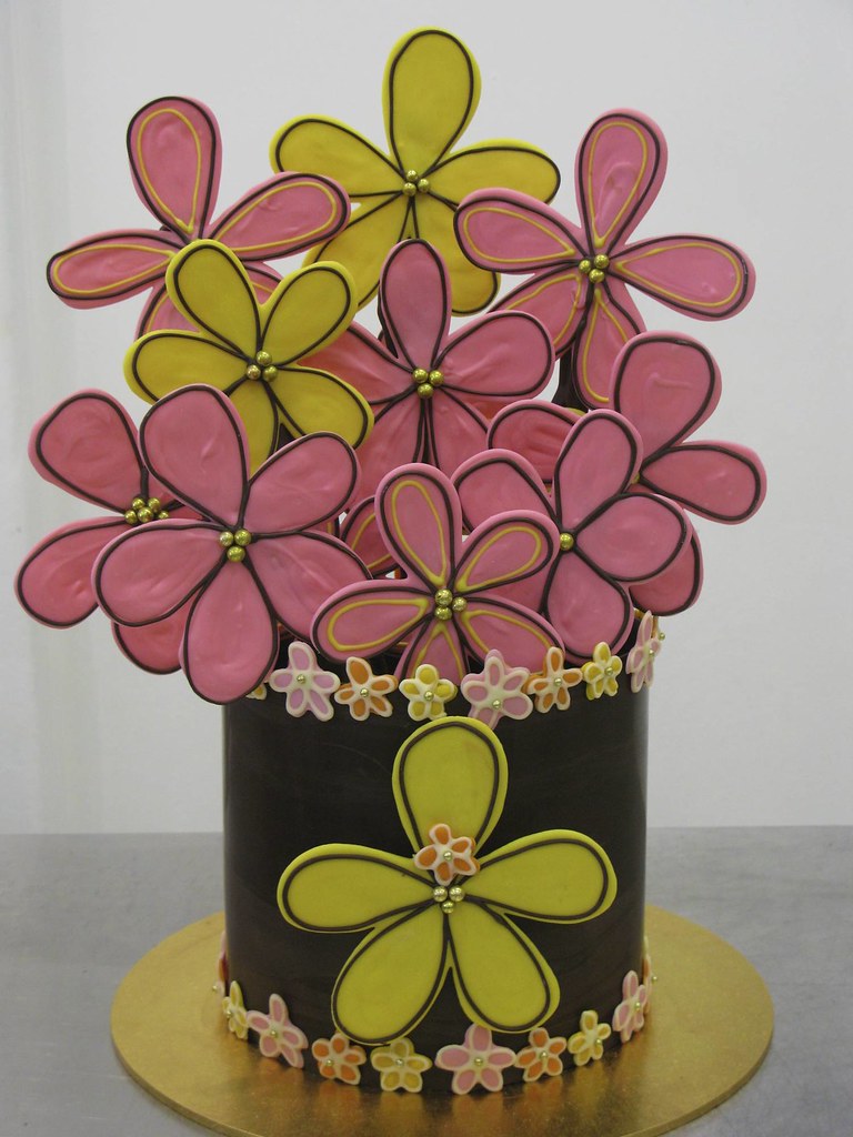 Chocolate daisy cake a photo on Flickriver