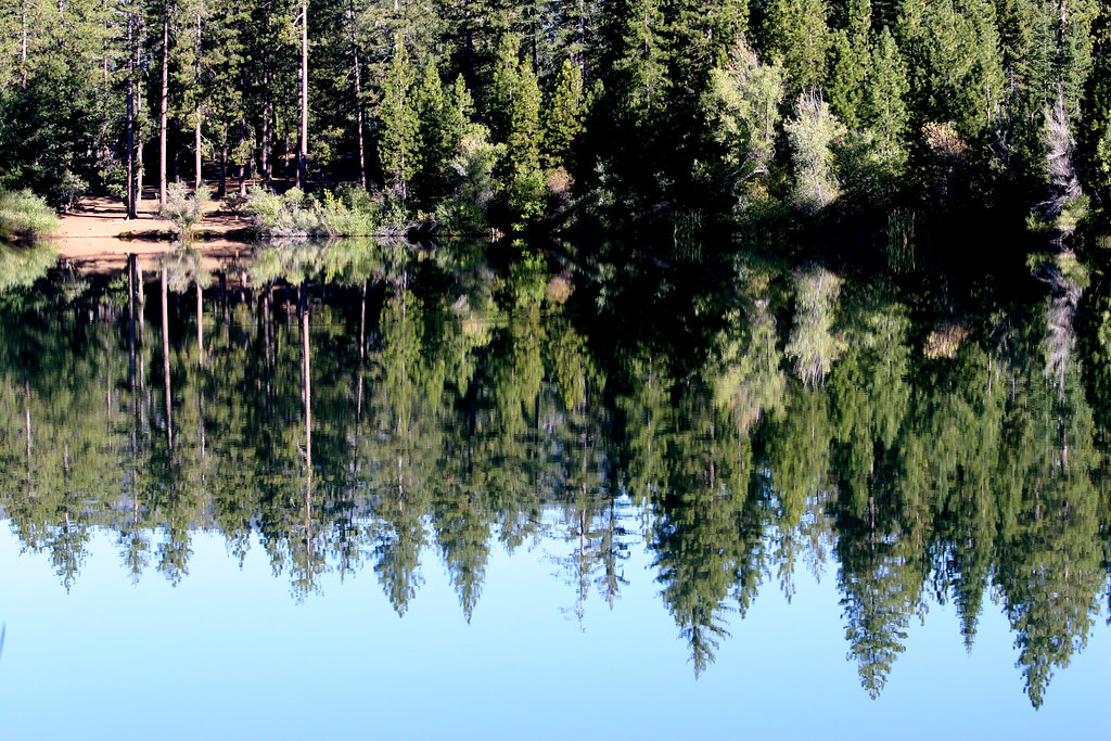 Reflection On Letts Lake Letts Lake, Mendocino National Fo… Flickr