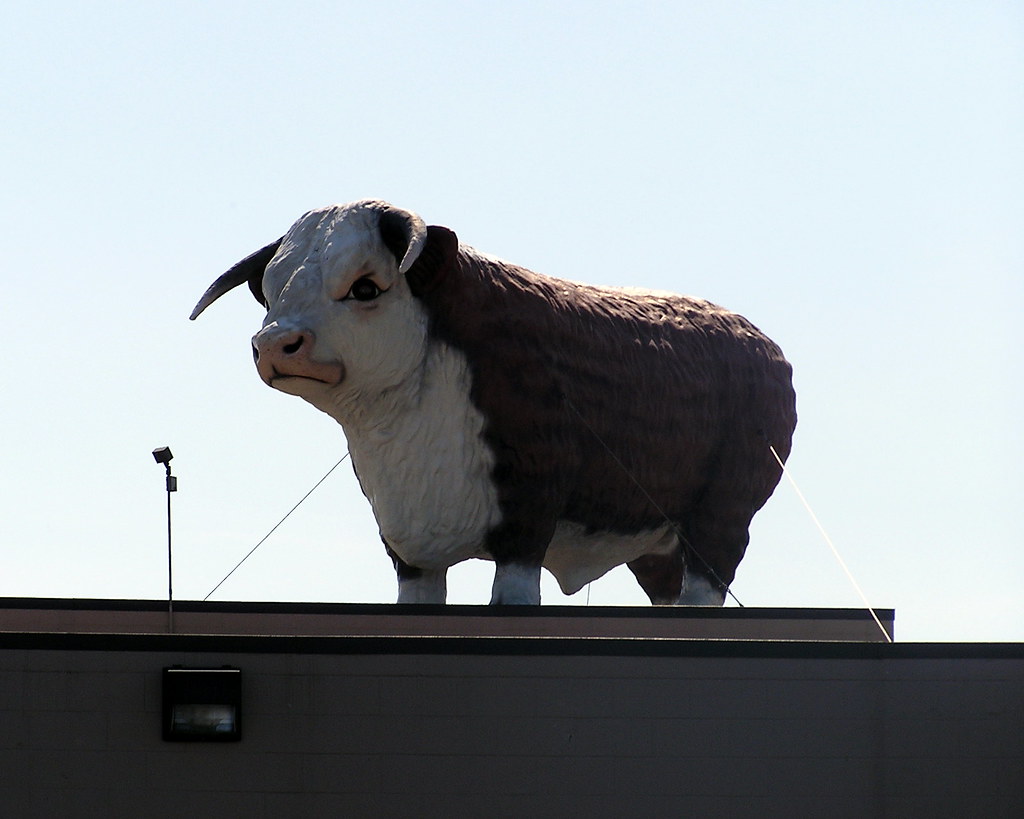 Giant Cow Statue This giant cow resides in Baraboo Wiscons… Flickr