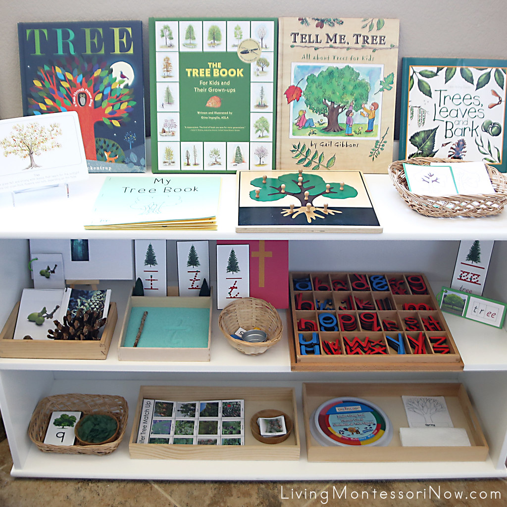 Montessori Shelves with TreeThemed Activities Deb Chitwood Flickr