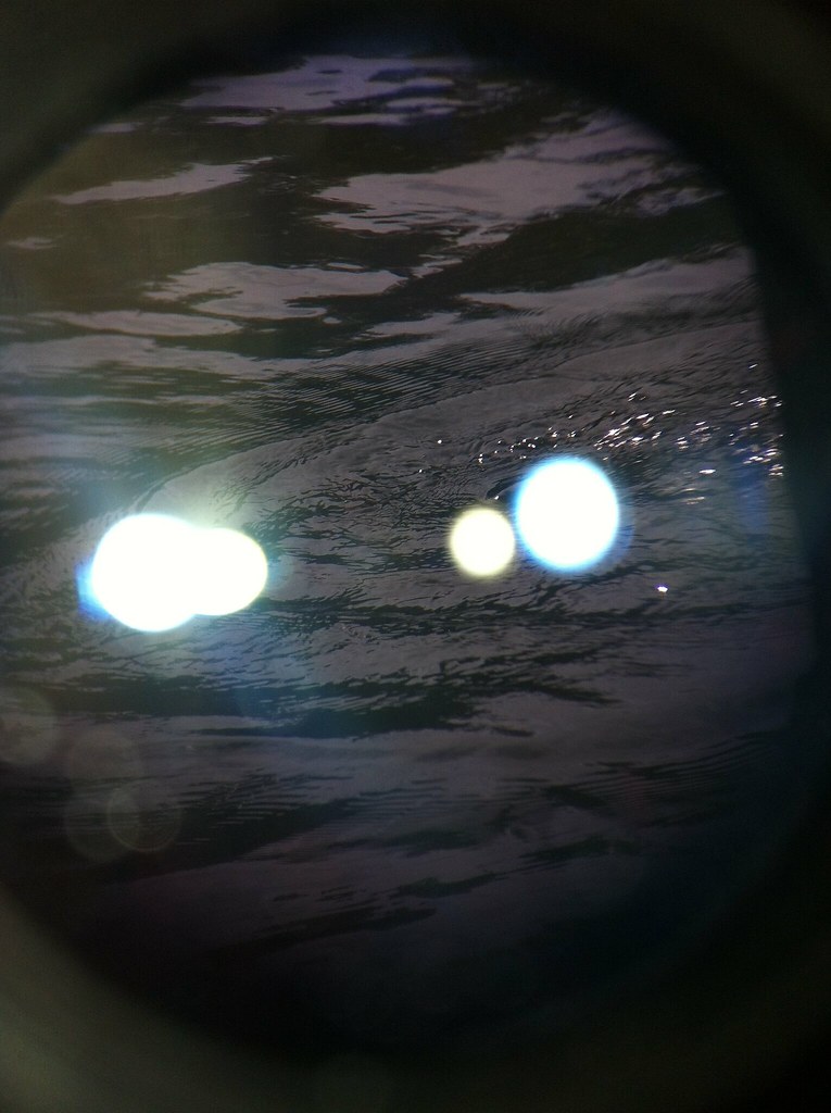 Missing black duck Hwan Hong Flickr