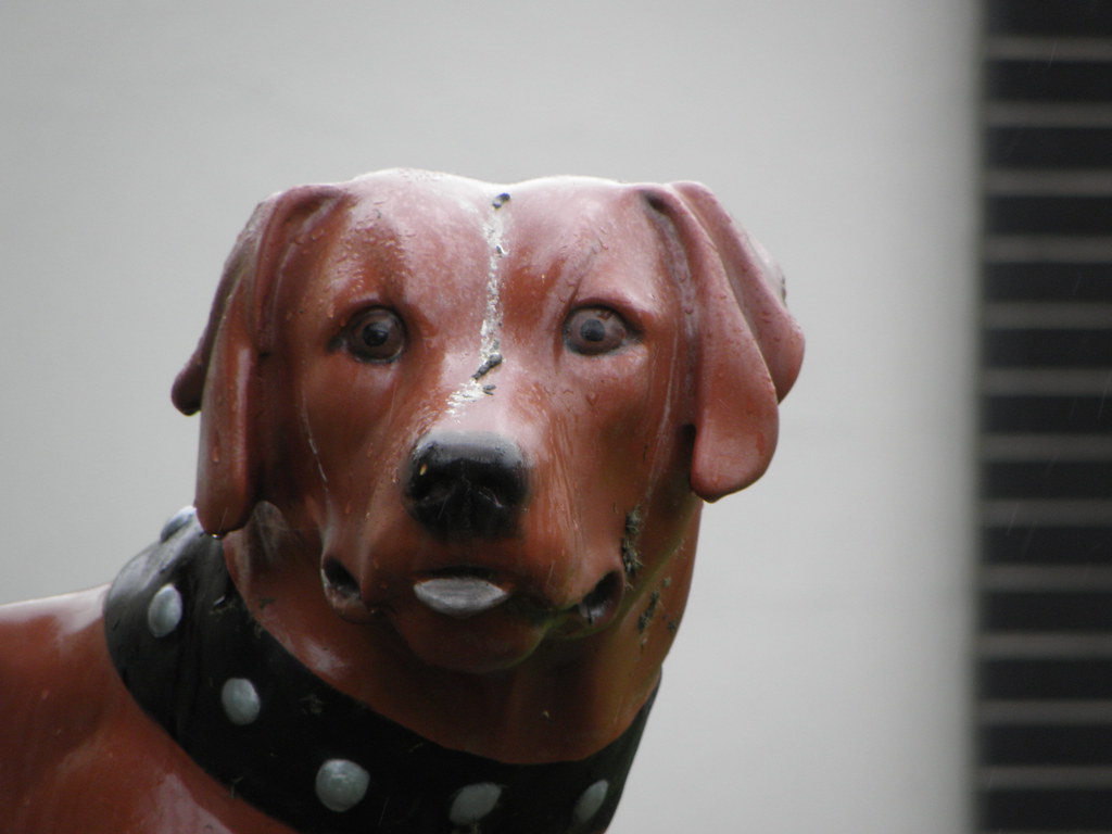 Morley's Dog Johnstown, PA Mike Steele Flickr