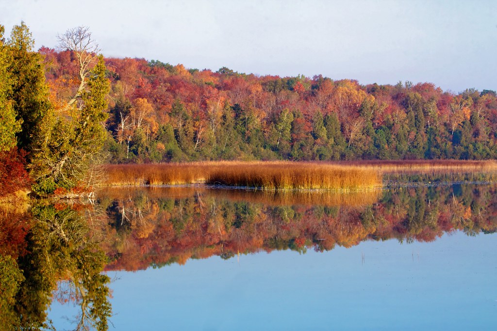 Kangaroo Lake in Fall, Door County Fall Colors door county… Flickr