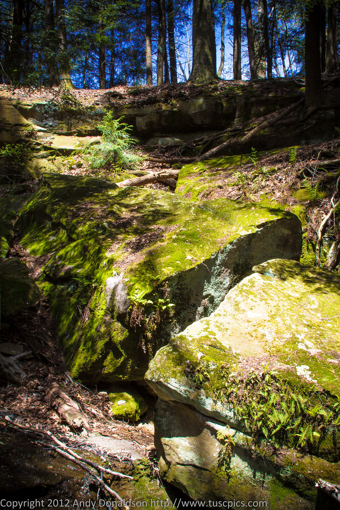 Elevation of Wilmot, OH, USA Topographic Map Altitude Map