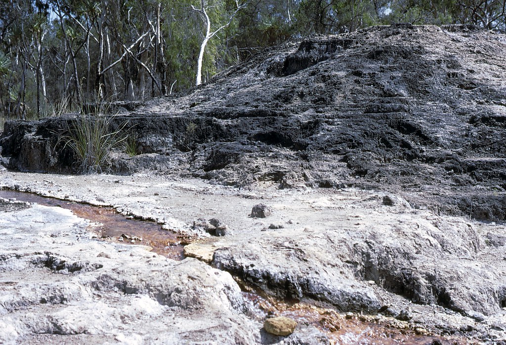 Talaroo Hot Springs near Mt Surprise Sept 1974e Scanned fr… Flickr