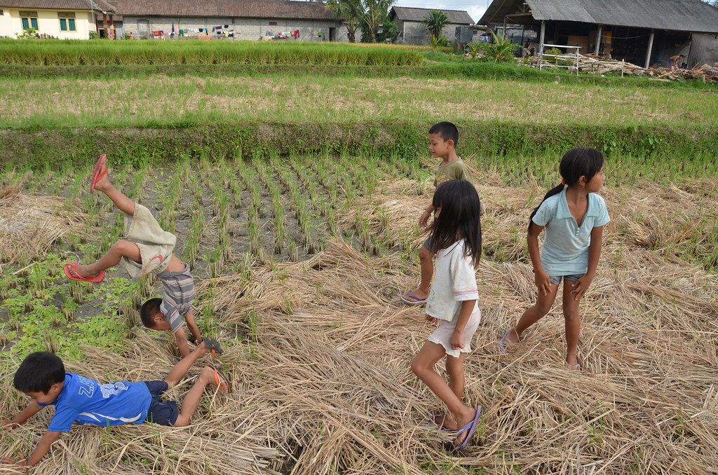 Rice Fields Games, Ubud Antonio Hidalgo Flickr
